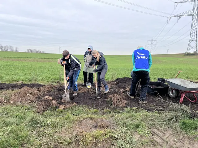 Foto: Romina Winkemann