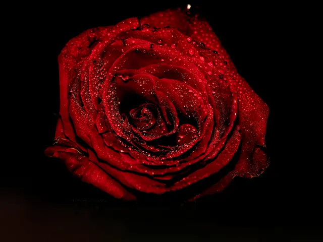 Foto: Eigenes Bild TB