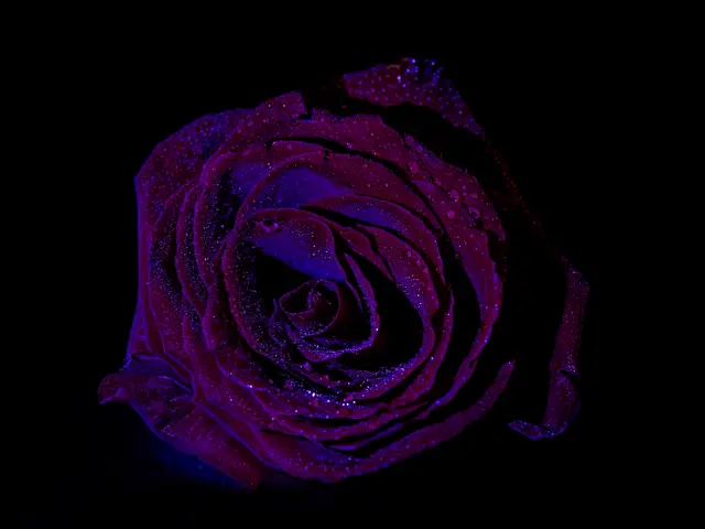 Foto: Eigenes Bild TB