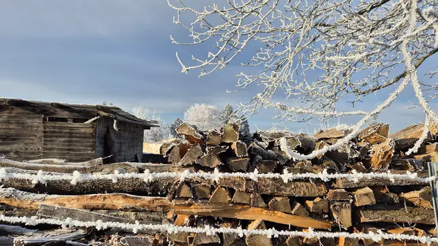 Foto: Karin Grimmel-Berggötz 