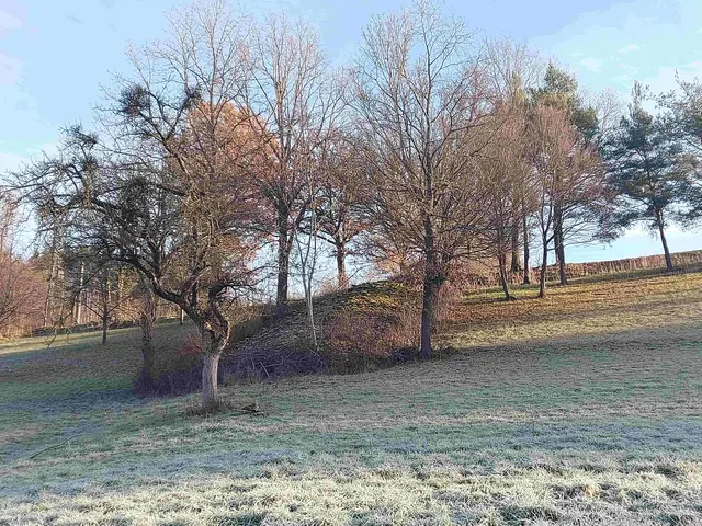 Gepflegte Kulturlandschaft mit Steinriegeln | Foto: Thomas Raisig