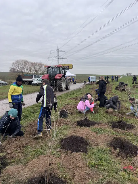 Foto: Romina Winkemann