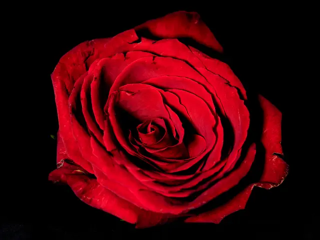 Foto: Eigenes Bild TB