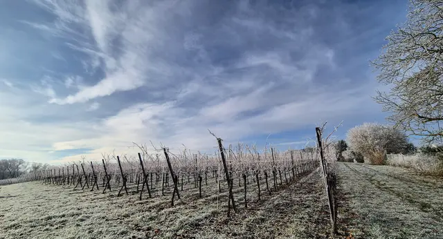 Foto: Karin Grimmel-Berggötz 