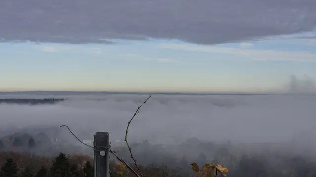 Foto: Karin Grimmel-Berggötz 