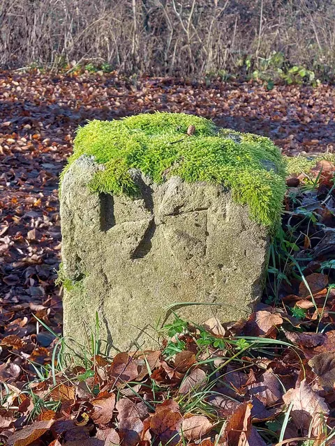 Grenzstein bei Dörzbach | Foto: Thomas Raisig