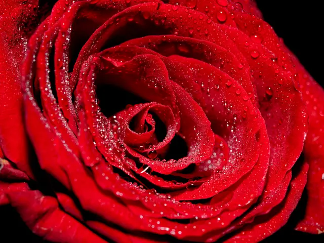 Foto: Eigenes Bild TB