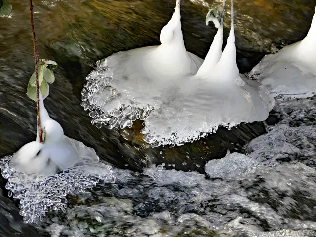 Eisblumen im Leinbach | Foto: KHW