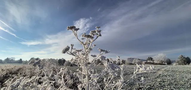 Foto: Karin Grimmel-Berggötz 