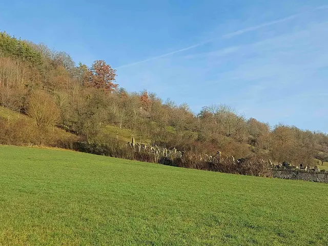 Jüdischer Friedhof bei Hohebach | Foto: Thomas Raisig