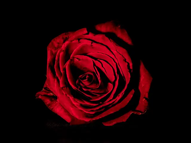 Foto: Eigenes Bild TB