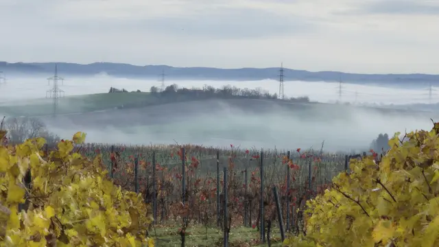 Foto: Karin Grimmel-Berggötz 