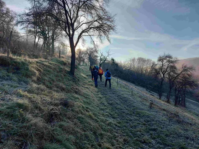 Auf den Zebu Weiden unterwegs | Foto: Thomas Raisig