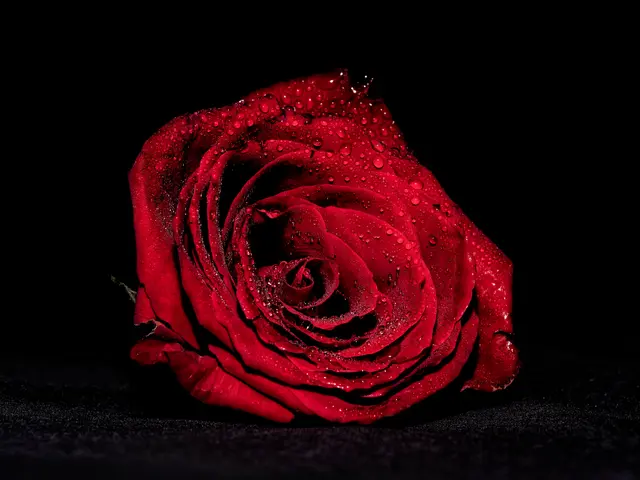 Foto: Eigenes Bild TB