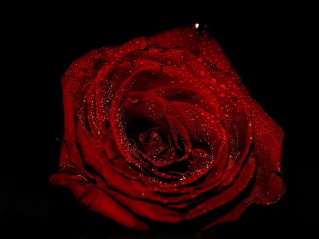 Foto: Eigenes Bild TB