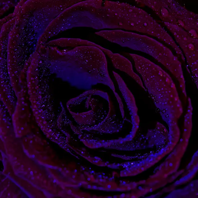 Foto: Eigenes Bild TB