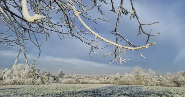 Foto: Karin Grimmel-Berggötz 