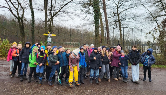 Foto: Hellbergschule Eppingen