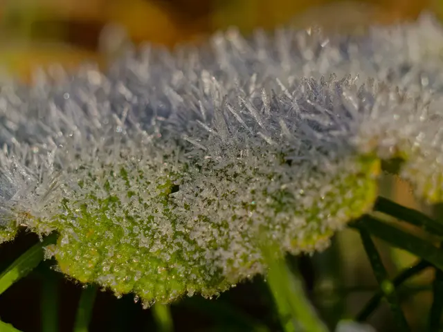 Foto: Eigenes Bild TB