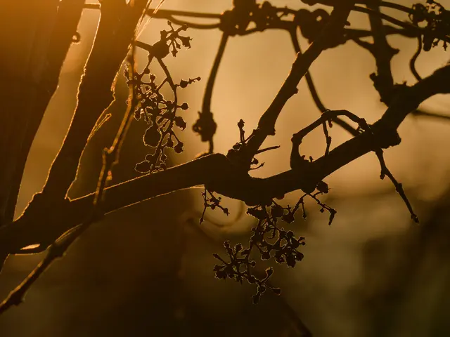 Foto: Eigenes Bild TB