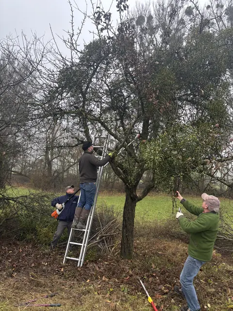 Foto: Elisabeth Geppert