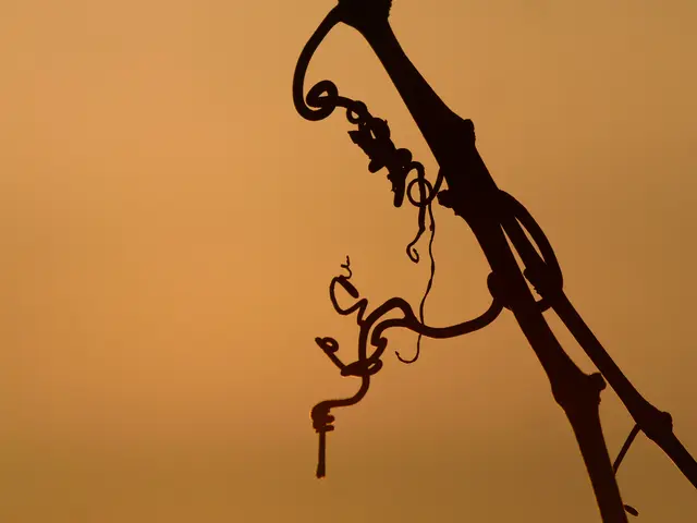 Foto: Eigenes Bild TB