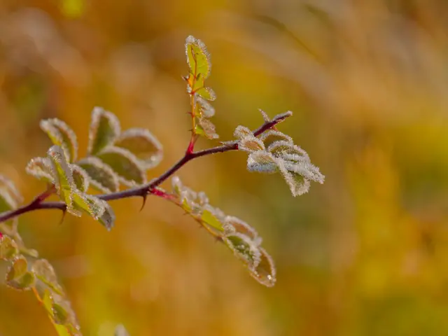 Foto: Eigenes Bild TB