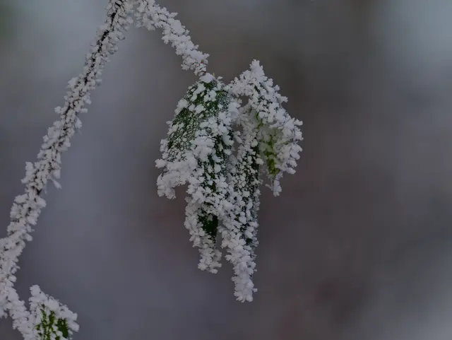 Foto: Eigenes Bild TB