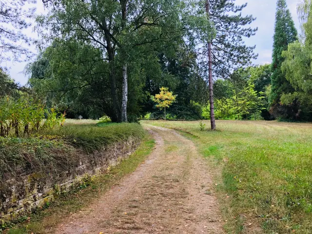 Foto: Heide Böllinger aus Bad Friedrichshall