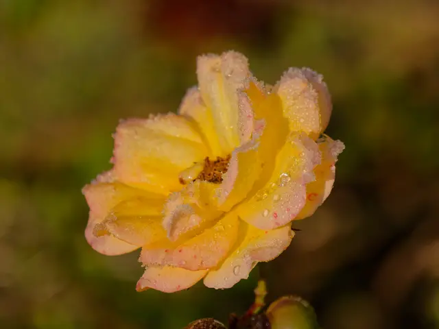 Foto: Eigenes Bild TB