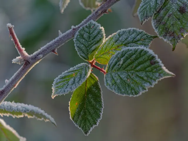 Foto: Eigenes Bild TB