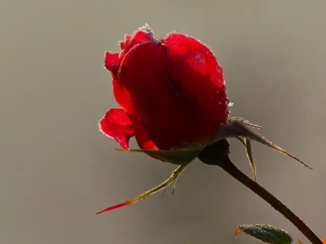 Foto: Eigenes Bild TB