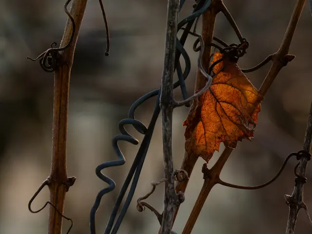 Foto: Eigenes Bild TB