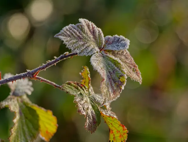 Foto: Eigenes Bild TB