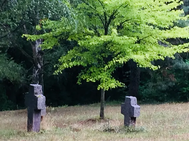 Foto: Heide Böllinger aus Bad Friedrichshall