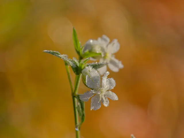 Foto: Eigenes Bild TB