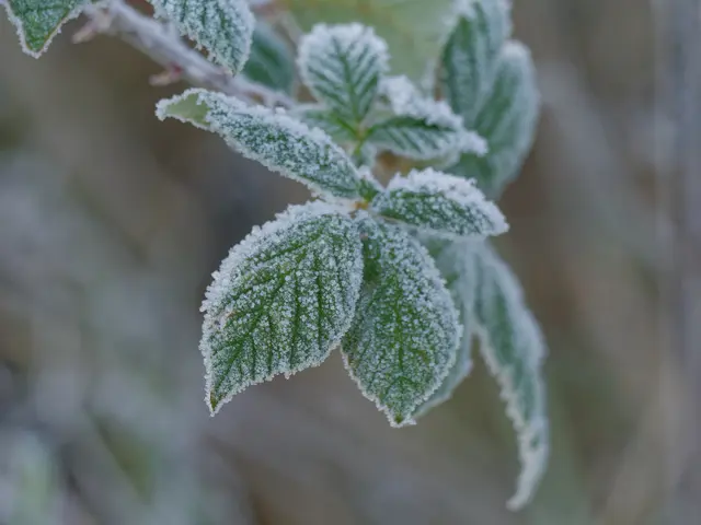 Foto: Eigenes Bild TB