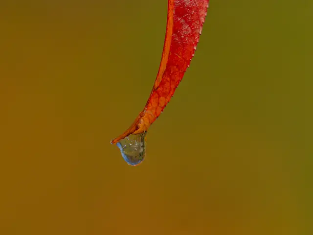 Foto: Eigenes Bild TB