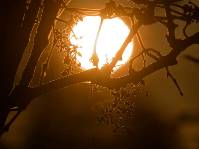 Foto: Eigenes Bild TB