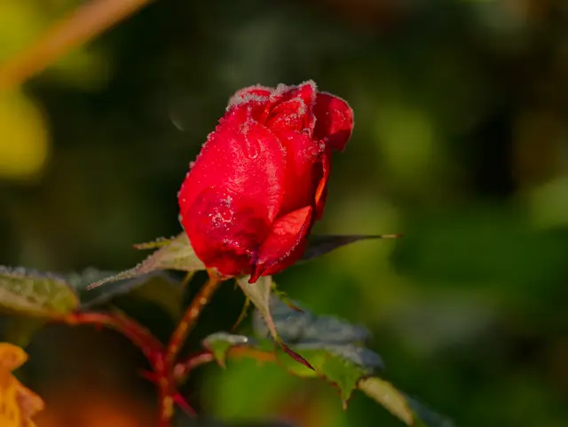 Foto: Eigenes Bild TB