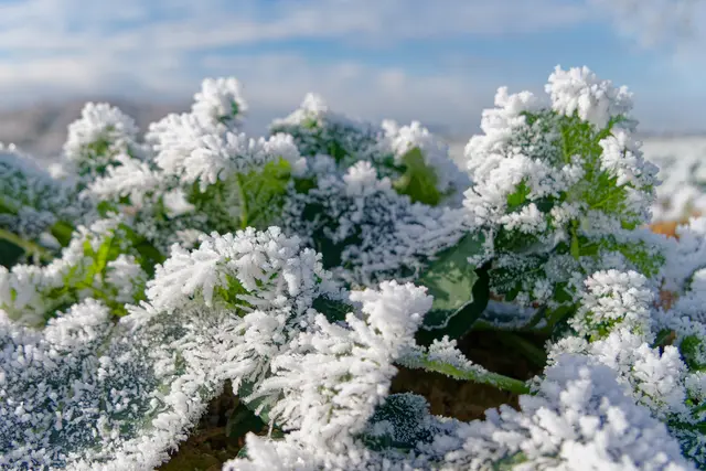 Foto: Eigenes Bild TB