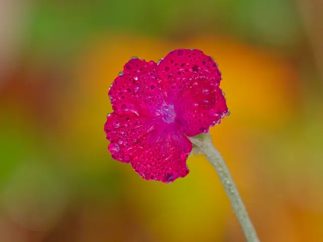 Foto: Eigenes Bild TB