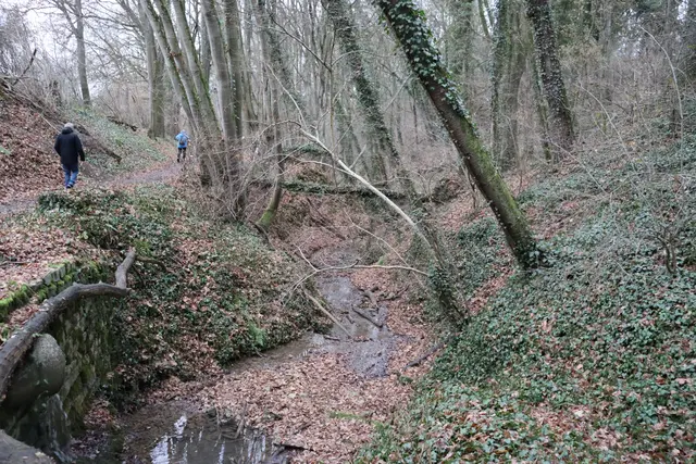 Weg in der Haspelklinge | Foto: Marga Specht