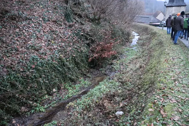 Honigbach in Schöntal | Foto: Marga Specht