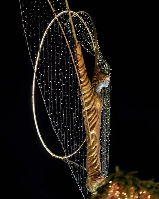 Glanz der Engel | Foto: Ulrich Seidel