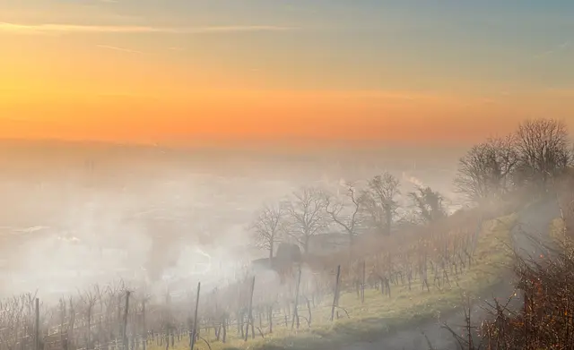 Sonnenuntergang über Heilbronn | Foto: Moni