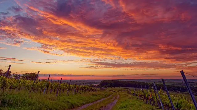 Foto: Eigenes Bild TB