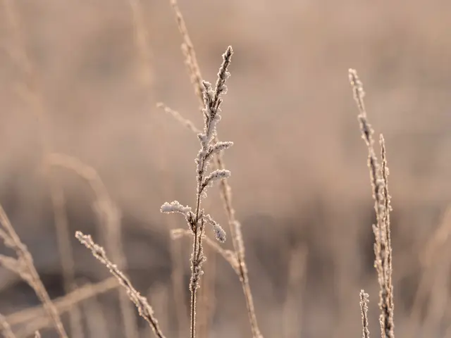 Foto: Eigenes Bild TB