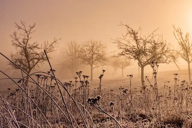 Foto: Eigenes Bild TB