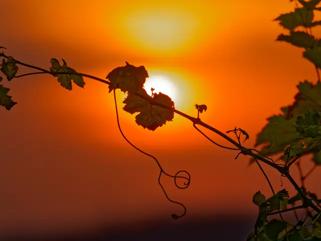 Foto: Eigenes Bild TB